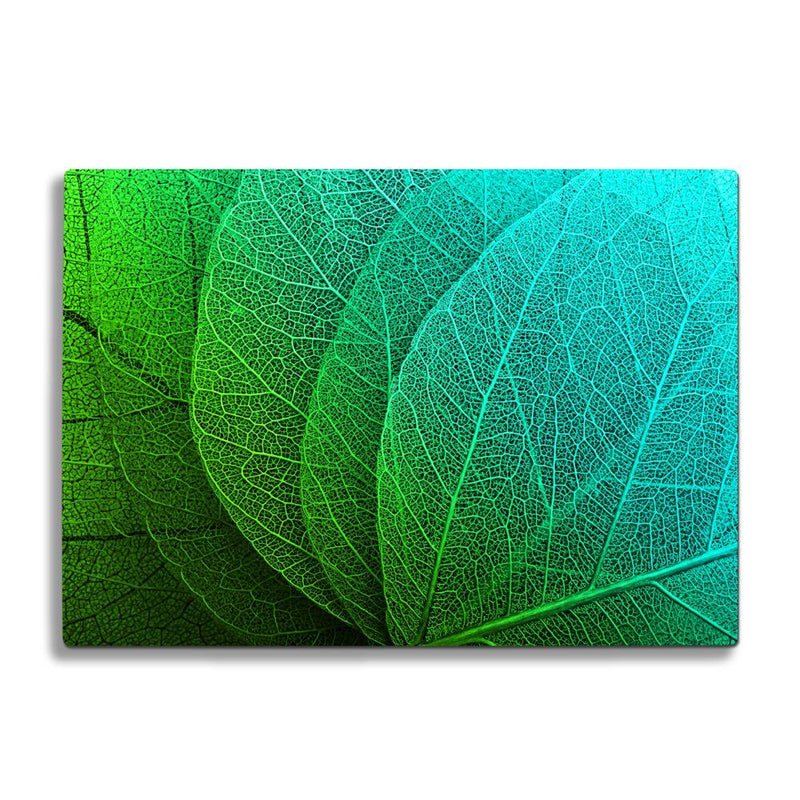 Set plateau papier vert 300x400mm - par 1000 - RETIF