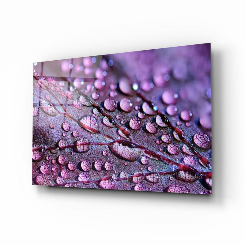 Tableau en verre - Feuille violette aux gouttes d'eau - Guttation
